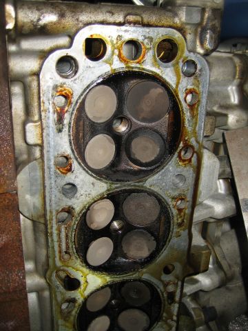 med_gallery_12001_356_912109.jpg