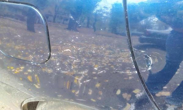 post-43804-0-41828000-1382861735_thumb.j