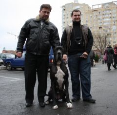 2009.12.06 Выставка собак