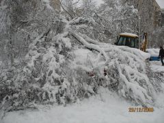 IMG_5598.JPG