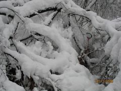 IMG_5600.JPG