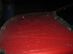 img37.jpg