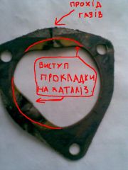 Зоб.JPG