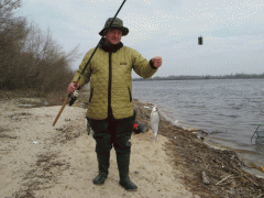 IMG_3091.GIF