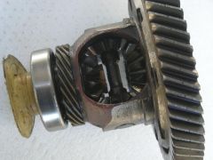 DSCN4266.jpg