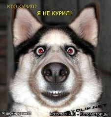 Кто курил? Я не курил!