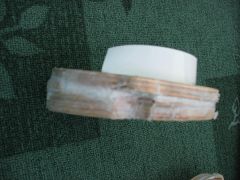 IMG_8002.jpg