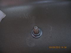 IMG_0320.jpg