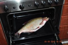 DSC_0346.JPG