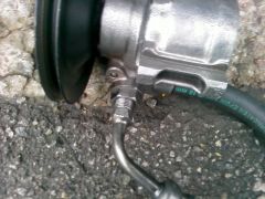CAM_0044.jpg