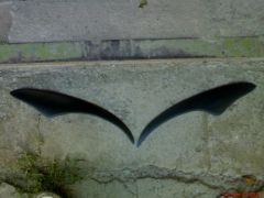 DSC01433.JPG