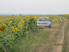 IMG_0161.JPG