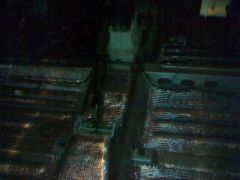 11102010137.jpg