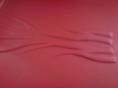 DSC06266.JPG