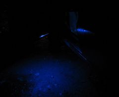 IMG_5833.JPG