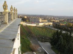 IMG_5762.JPG