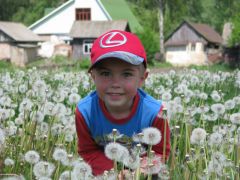 IMG_2662.JPG