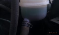 IMAG0082.jpg