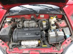 IMG_2613.jpg