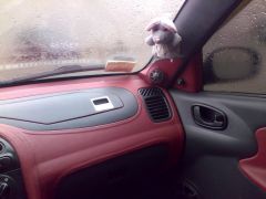24112010514.jpg