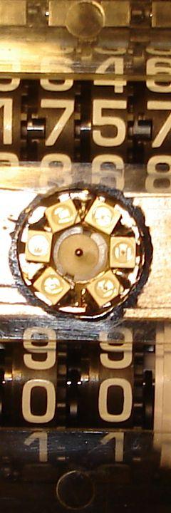 DSC00248_1.jpg