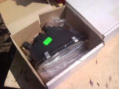 SNC00410+.jpg