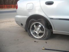 DSCF1152.jpg