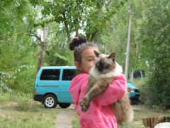 IMG_8950.JPG