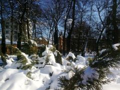 1в006.jpg