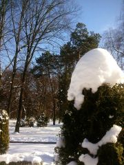 1в026.jpg