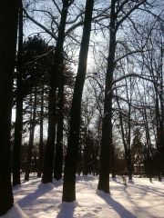 1в009.jpg