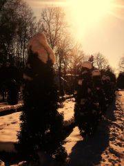 1в025.jpg