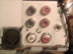 RCA Rear.jpg