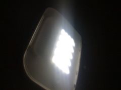 IMG_0559.JPG