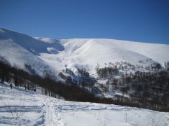 IMG_3501.JPG