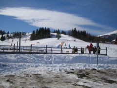 IMG_3681.JPG