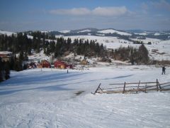 IMG_3615.JPG