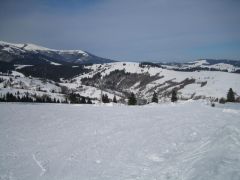 IMG_3649.JPG