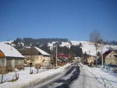 IMG_3484.JPG
