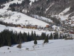 IMG_3669.JPG
