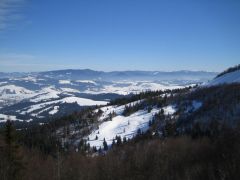 IMG_3553.JPG