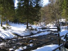 IMG_3685.JPG