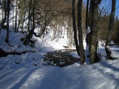 IMG_3790.JPG