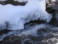 IMG_3758.JPG