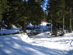 IMG_3693.JPG