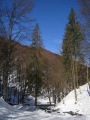 IMG_3794.JPG