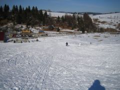 IMG_3803.JPG