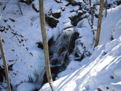 IMG_3752.JPG