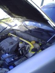 IMG0065A.jpg