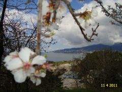 DSC07173.JPG